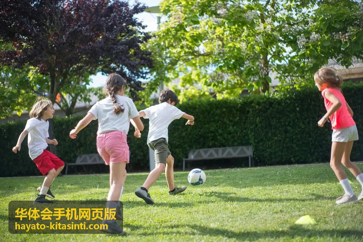华体会手机网页版玩法百科热门内容封面