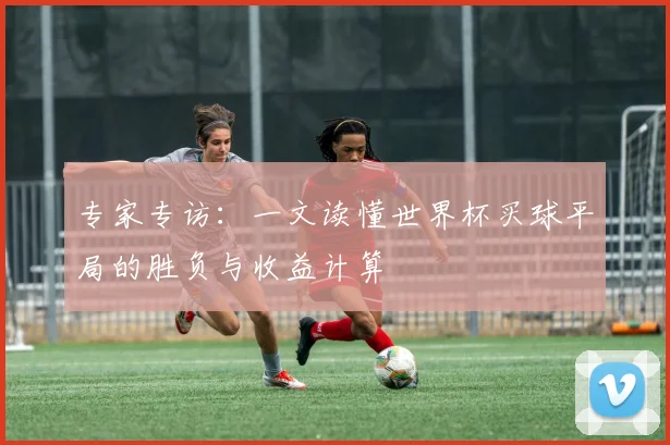 专家专访：一文读懂世界杯买球平局的胜负与收益计算
