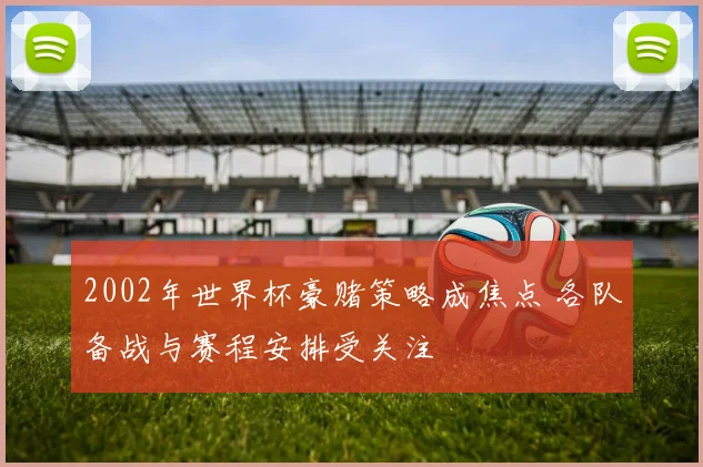 2002年世界杯豪赌策略成焦点 各队备战与赛程安排受关注