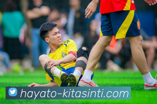 App Interface Preview