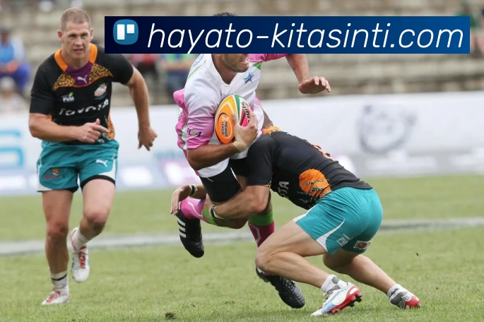 mk恩波利体育APP 封面图